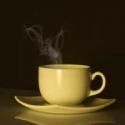 Ottawa Little Theatre Announces BLACK COFFEE & JASPER STATION for Summer Theatre…