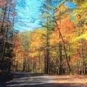 Rhinebeck Writers Retreat Announces Eight New Musicals for the Summer, Beg. 7/1
