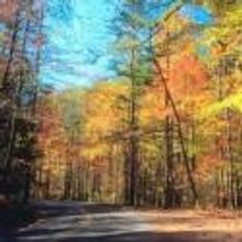 Rhinebeck Writers Retreat Announces Eight New Musicals for the Summer, Beg. 7/1