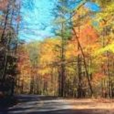 Rhinebeck Writers Retreat Announces Eight New Musicals for the Summer, Beg. 7/1