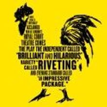 COCK Opens Tonight at the Duke on 42nd Street