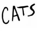 Photo Flash: CATS Returns to the Paramount Theatre, 4/17-22