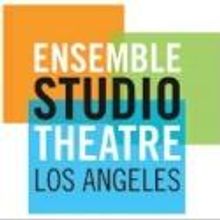 Sheena Metal Joins Ensemble Studio Theatre's Board of Directors