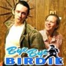 BYE, BYE, BIRDIE Runs June 1-17 at Dickson's Renaissance Center