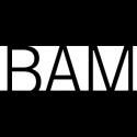 Brooklyn Academy of Music Announces 2012 Next Wave Festival Lineup