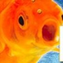 Circle Theatre to Present MISTAKES WERE MADE, Beginning 6/7