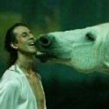 BWW Reviews: CAVALIA Wows Crowd and Extends Run