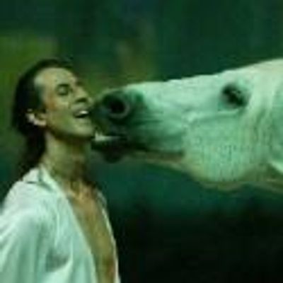 BWW Reviews: CAVALIA Wows Crowd and Extends Run