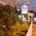 Summer Stages: BWW's Top Summer Theatre Picks - Houston!