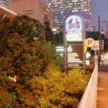 Summer Stages: BWW's Top Summer Theatre Picks - Houston!