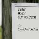 Svich's THE WAY OF THE WATER to be Read Across the US & Abroad