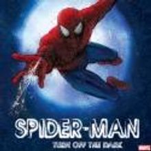 SPIDER-MAN Producers Ordered to Give Information to Injured Stuntman