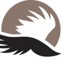 RED, AMADEUS On Tap as Blackbird Theater Announces its 2012-13 Season