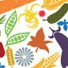 The Atlanta Opera to Present STONE SOUP for 2012-2013 Studio Tour to Elementary Schoo