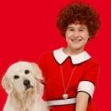 Summer Stages (and Winter Warmers) - BWW's Top Picks for Melbourne!