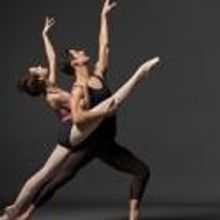 Northrop Concerts and Lectures at the University of Minnesota Announces 2012-13 Seaso