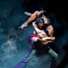 BURN THE FLOOR Returns to PPAC, 5/4-6