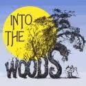 Kim Crosby, Original Cinderella, to Play Baker's Wife in INTO THE WOODS at Little…