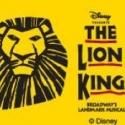 Disney's THE LION KING Opens at the Orpheum Theatre Tonight