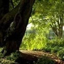 Seattle Center to Host Official Earth Day Celebration, 4/22