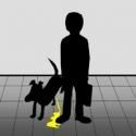 LA's Lounge Theatre Presents Rita O'Farrell's PEDESTRIAN, 4/27-5/27