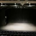 I AM A TREE Opens 5/25 at St. Clement’s