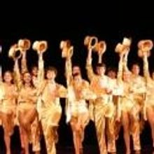 3-D Theatricals to Present A CHORUS LINE, Beginning 5/11