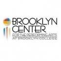 Brooklyn Center for the Performing Arts' Upcoming Season to Include THE LITTLE PRINCE, FIDDLER ON THE ROOF and More