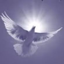 New Amsterdam Singers Present SONGS OF BIRDS AND ANGELS, 5/31