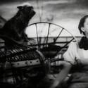 Could Your Dog be Toto in ALW's WIZARD OF OZ? Talent Search Set for Woofstock, June 9