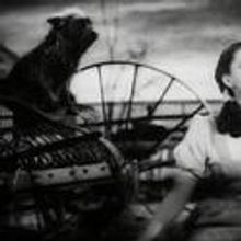 Could Your Dog be Toto in ALW's WIZARD OF OZ? Talent Search Set for Woofstock, June 9