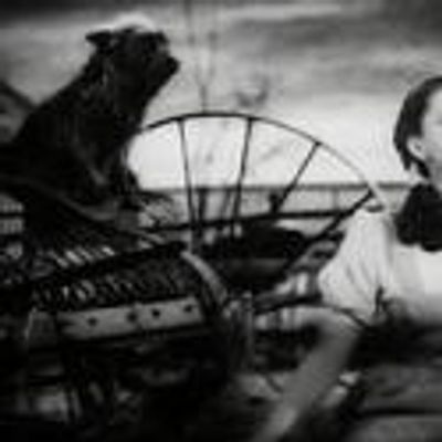 Could Your Dog be Toto in ALW's WIZARD OF OZ? Talent Search Set for Woofstock, June 9