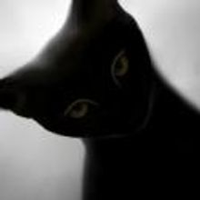 Fells Point Corner Theatre Opens SHANA UNSETTLED, 6/22