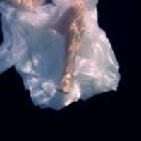 BWW Reviews: AUTOBIOGRAPHER, Toynbee Studios, April 20 2012 Photo