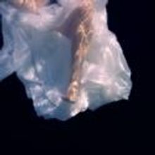 BWW Reviews: AUTOBIOGRAPHER, Toynbee Studios, April 20 2012