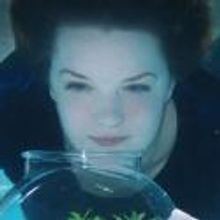 Peter Sinn Nachtrieb's BOOM Brings First Sideshow Season to a Close 6/14-17