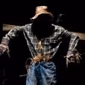 Four Humors’ 2012-13 Season to Include CANDIDE, HAROLD and More