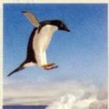 Leap of Faith Celebrates 18 Years at Town Hall Theatre, 5/16