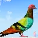 Ryan Scott Oliver and Pace U Present HATCHED: NEW WORK, 5/4 & 5