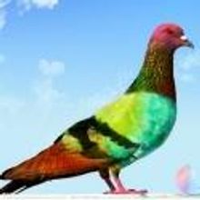 Ryan Scott Oliver and Pace U Present HATCHED: NEW WORK, 5/4 & 5
