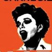 BWW Reviews: Peter Mac's Judy at Carnegie Hall Winning Entertainment