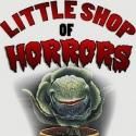 Theatre at the Center Presents LITTLE SHOP OF HORRORS, Opening 7/12
