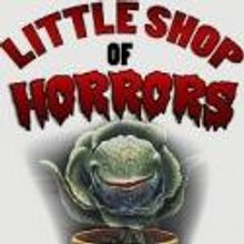 Theatre at the Center Presents LITTLE SHOP OF HORRORS, Opening 7/12