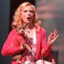 Photo Flash:  First Look at Arvada Center's LEGALLY BLONDE!