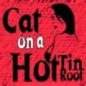 BWW Reviews: Theatre in the Park's CAT ON A HOT TIN ROOF Brings Deep South to Raleigh