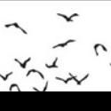 Cynthia-Reeves Projects Hosts CONFERENCE OF THE BIRDS Exhibition at Mana…