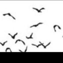 Cynthia-Reeves Projects Hosts CONFERENCE OF THE BIRDS Exhibition at Mana…