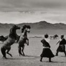 Flomenhaft Gallery Presents Builder Levy's DEVELOPING NATIONS, Now thru 8/18