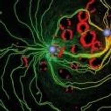 Noticers: Art and Science Exhibition Opens 5/3