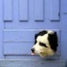 Dog in the Door Theater for Kids Presents PUPPET EXTRAVAGANZA Workshops, 5/5